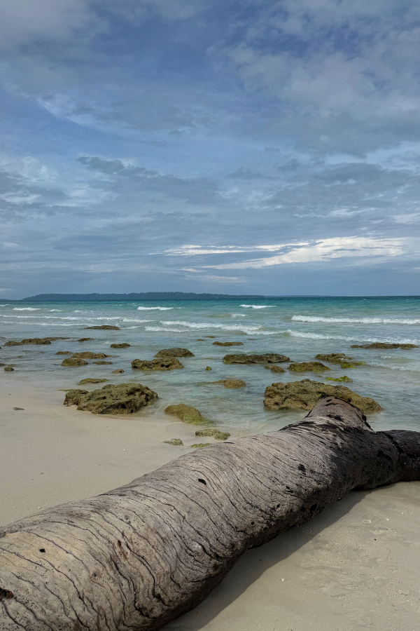 Andaman & Nicobar