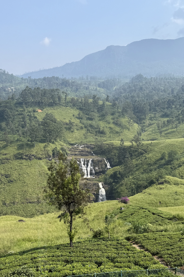 Srilanka