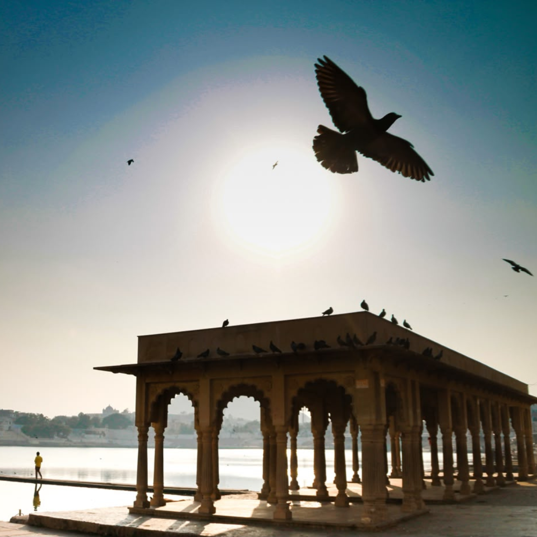 Rajasthan​
